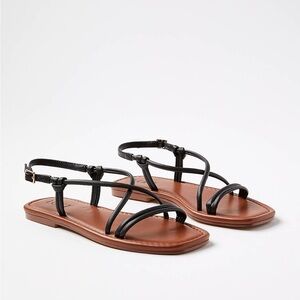 Loft Skinny Strappy‎ Sandals In Black- Women's Size 8M